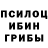 Псилоцибиновые грибы ЛСД Pamela Commons