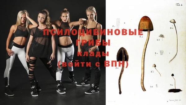 стафф Алзамай