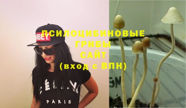 ECSTASY Абдулино