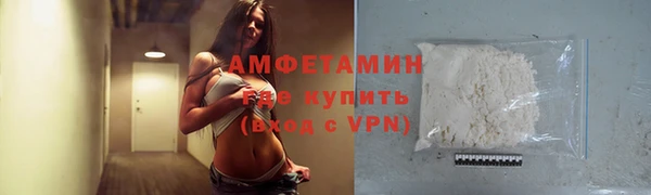 стафф Алзамай