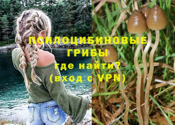 стафф Алзамай