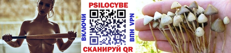 Галлюциногенные грибы Cubensis  цены   Тамбов 