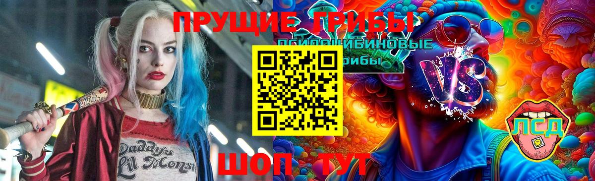 Тамбов  Галлюциногенные грибы ЛСД  купить закладку  Вход с VPN 